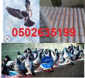 تنزيل (42)